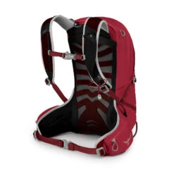 Osprey Talon 11 Backpack - Cosmic Red -Osprey b24 6699 10002715 2 1034383