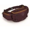 Osprey Savu 5 Waist Pack - Aprium Purple