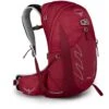 Osprey Talon 22 Backpack - Cosmic Red - L/XL